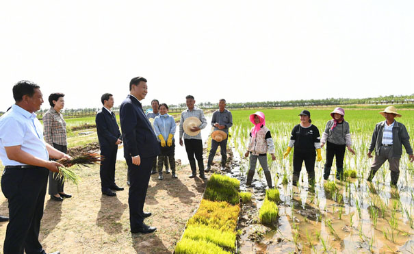 习近平在银川考察调研