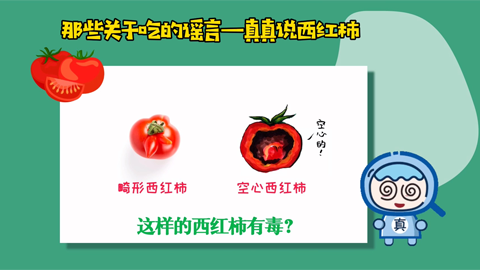 那些关于吃的谣言——真真说西红柿