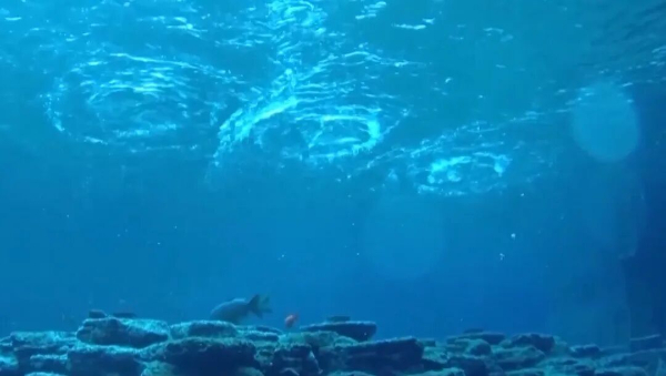 趵突泉“水涌若轮”是靠水泵？专家