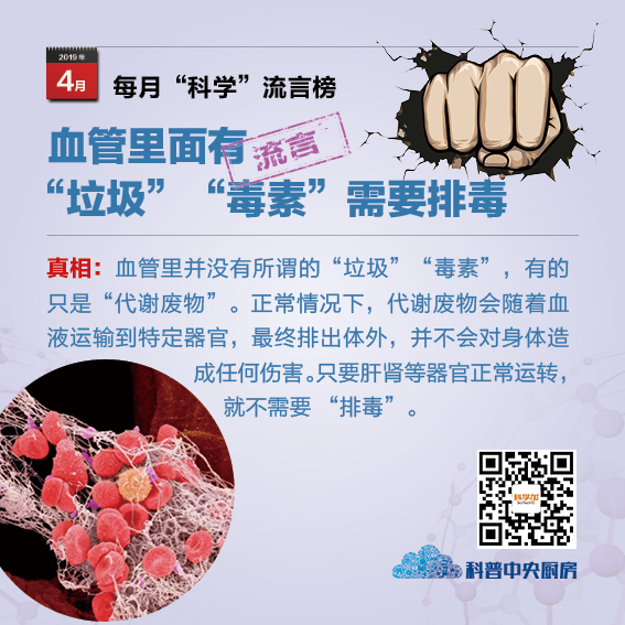 流言:血管里面有"垃圾""毒素",如果不清理就会慢慢蓄积,形成血栓堵塞