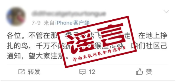 謠言2.jpg