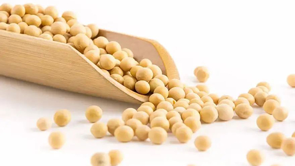 吃大豆会性早熟或致癌？