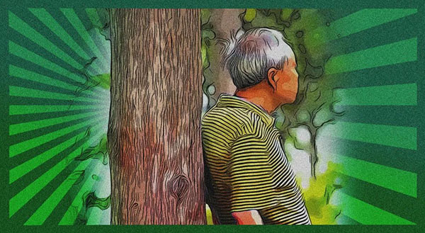 撞树锻炼可以强身健体