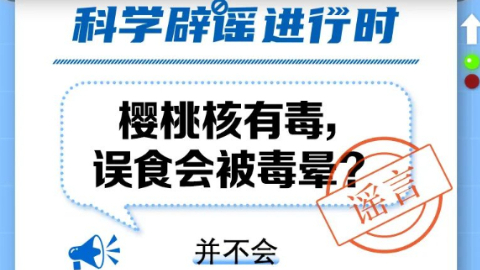 樱桃核有毒，误食会被毒晕