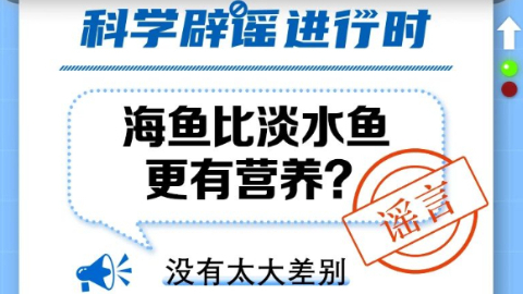 海鱼比淡水鱼更有营养