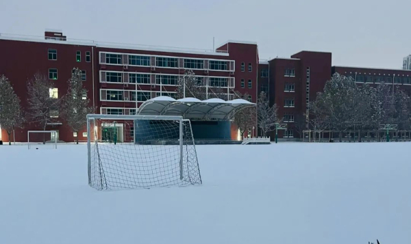 降雪能冻死病毒？下场雪生病的人就少了？真相来了