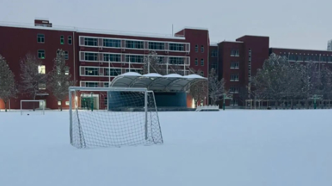 降雪能冻死病毒，下场雪生病的人就少了