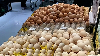 致癌的“激素鸡蛋”又来了？真相是→