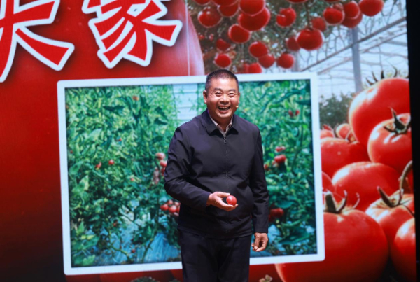 原文配图 4