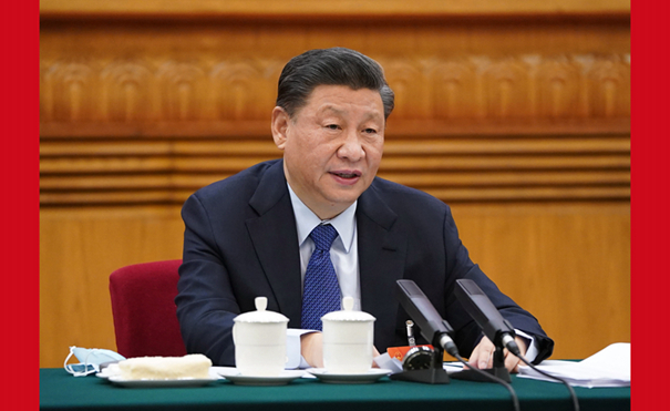 习近平参加青海代表团审议