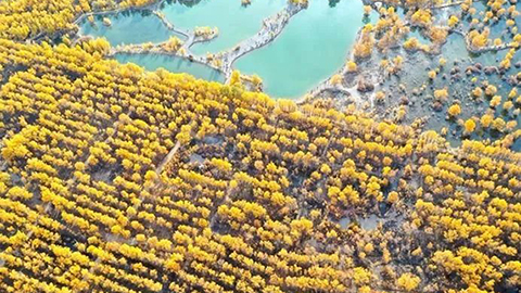 聚焦丨漫天黄沙突袭，谁该背这个锅？