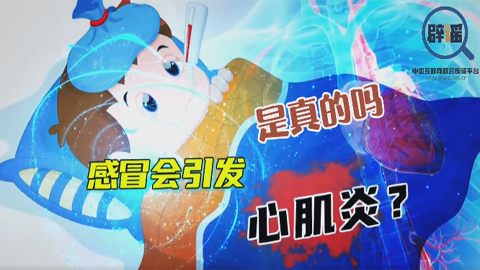 真真说 | 感冒会引发心肌炎？